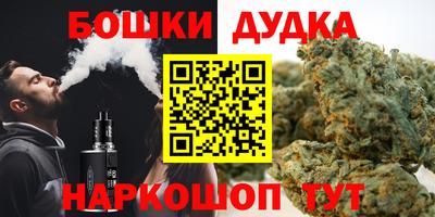 стаф Можга