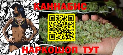 стаф Можга