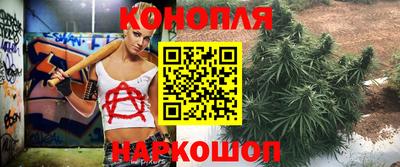 стаф Можга