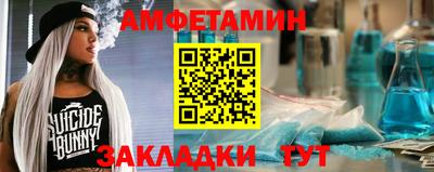 стаф Можга