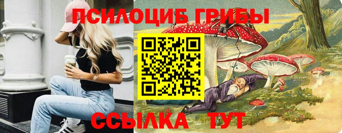 Псилоцибиновые грибы Psilocybe Усинск